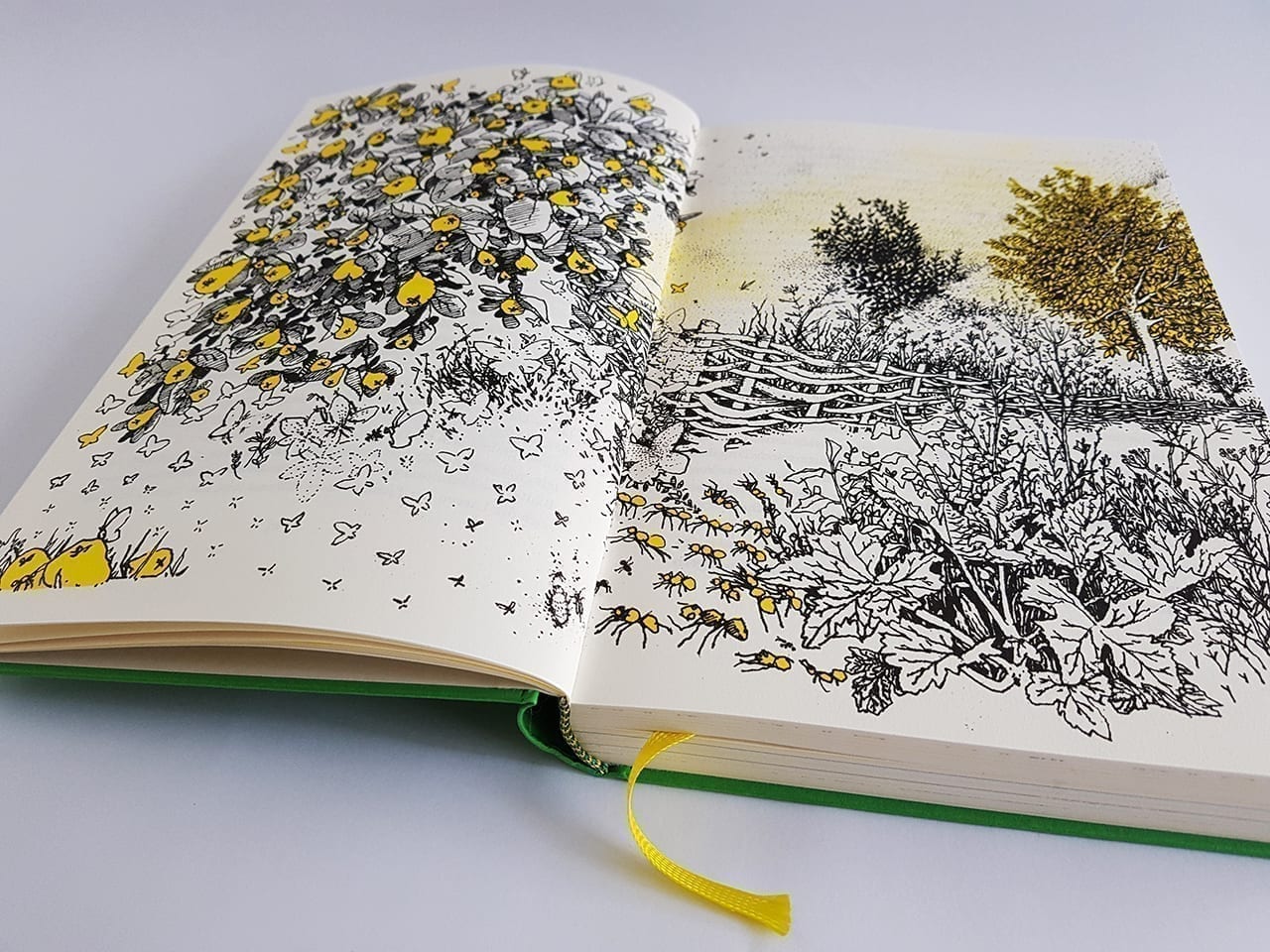 Wildlife Gardening Die Kunst im eigenen Garten die Welt zu retten Hanser Verlag aufgeschlagene Doppelseite