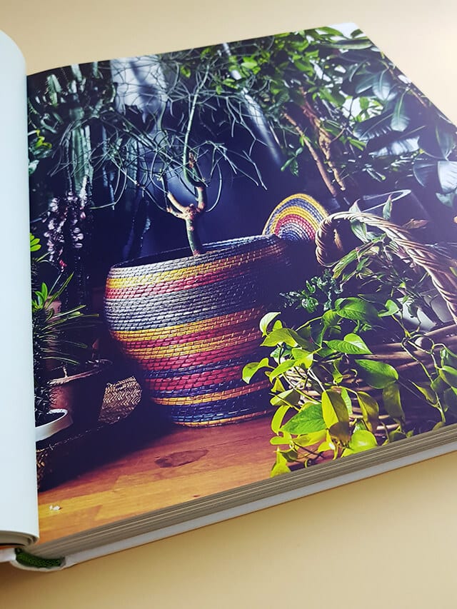 Die rechte aufgeschlagene Seite des Bildbandes ‚Evergreen‘ vom gestalten Verlag zum Thema ‚Mit Pflanzen wohnen‘ zeigt ein kleines Bäumchen in einem bunten Korbkübel auf einem Holzfußboden, umringt von weiteren grünen Pflanzen.