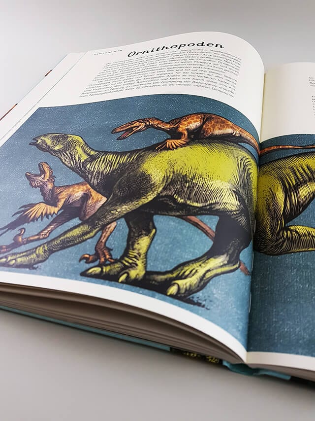 Das Museum der Dinosaurier Prestel Verlag aufgeschlagenes Kinderbuch