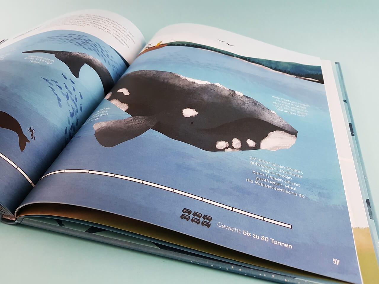 Die Welt der Wale kleine gestalten Verlag aufgeschlagenes Kinderbuch