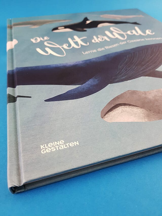 Die Welt der Wale kleine gestalten Verlag Logo Bildband