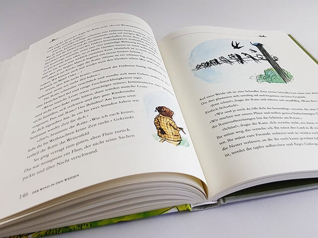 Der Wind in den Weiden Kein & Aber Verlag aufgeschlagenes Kinderbuch