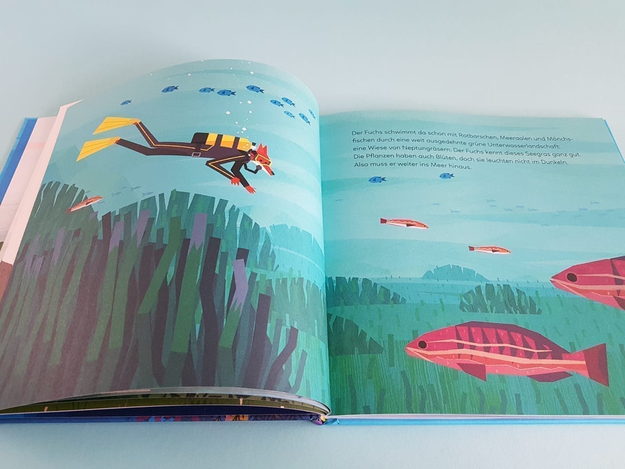 Fuchs auf Mission in der Tiefsee kleine gestalten Verlag aufgeschlagenes Kinderbuch