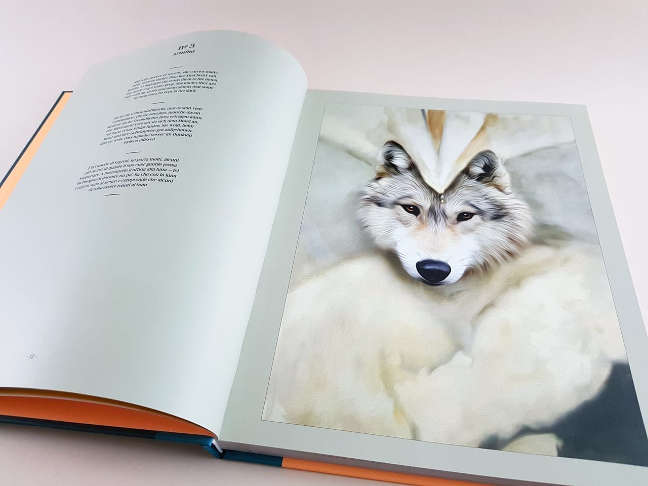 Animal teNeues Verlag aufgeschlagener Bildband