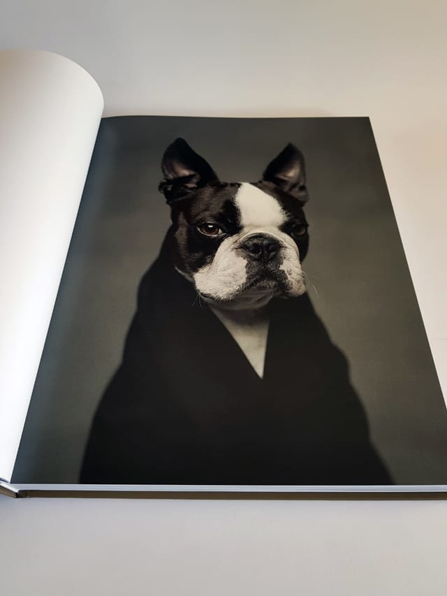 The Dogs teNeues Verlag aufgeschlagener Bildband