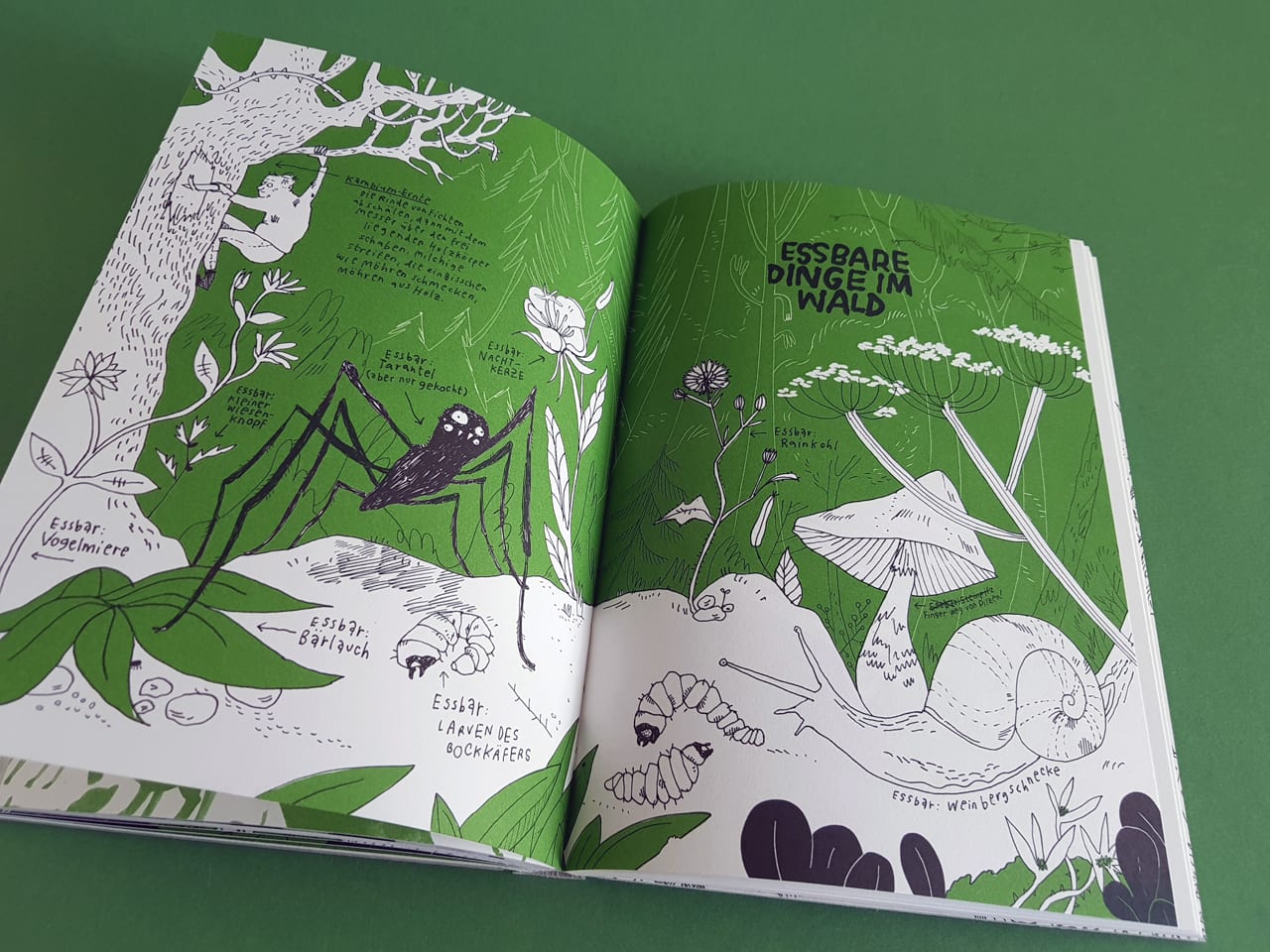 Die Reise zum Mittelpunkt des Waldes mairisch Verlag aufgeschlagenes Kinderbuch