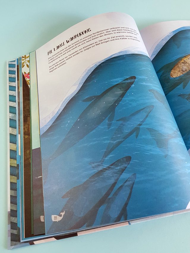 Das geheime Leben der Wale Aladin Verlag aufgeschlagenes Kinderbuch