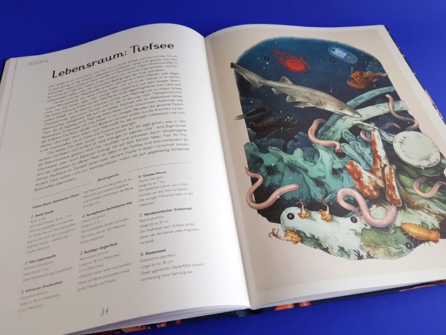 Das Museum des Meeres Eintritt frei Prestel Verlag aufgeschlagenes Buch